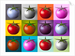 Multi coloured tomatos by Assaf Frank